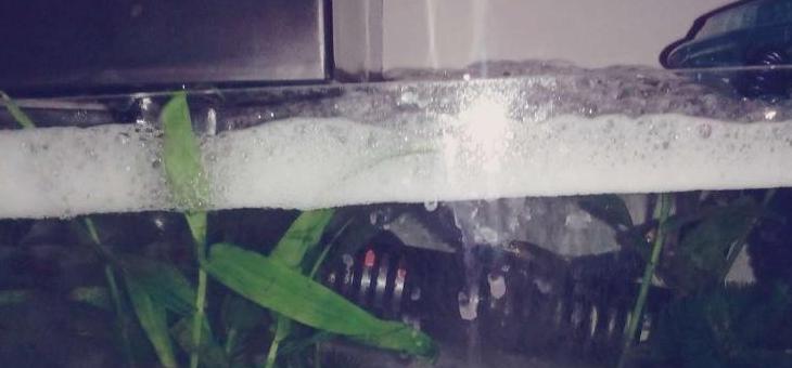 鱼缸泡沫多原因及处理方法解析