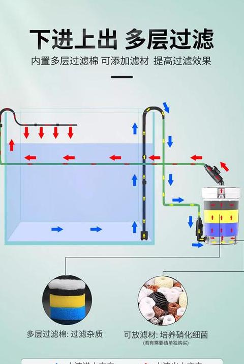 鱼缸过滤系统工作原理及维护要点