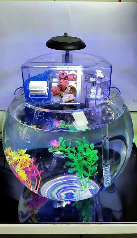 小型鱼缸过滤器推荐：适合小型鱼缸的几款过滤器