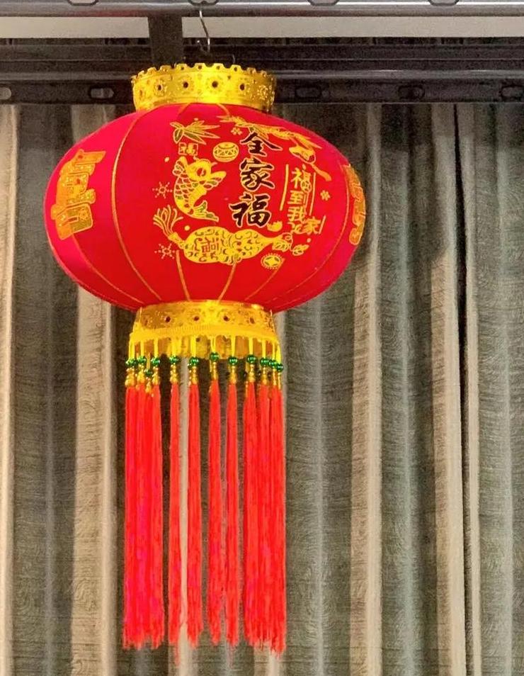 2025蛇年灯笼制作攻略：传统与创新设计大揭秘