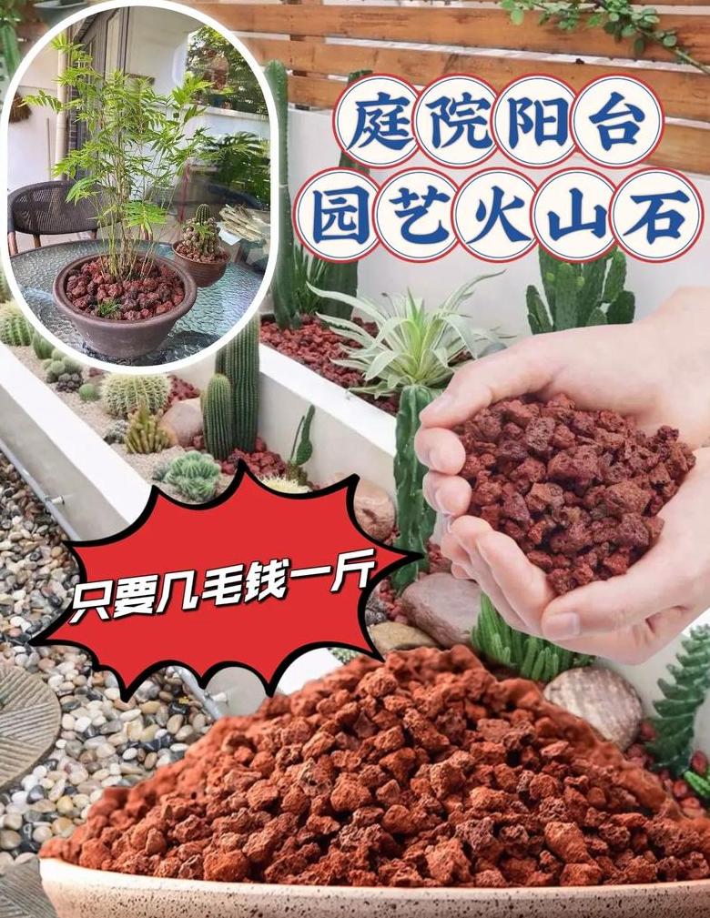 鱼缸石子摆放：优缺点与注意事项
