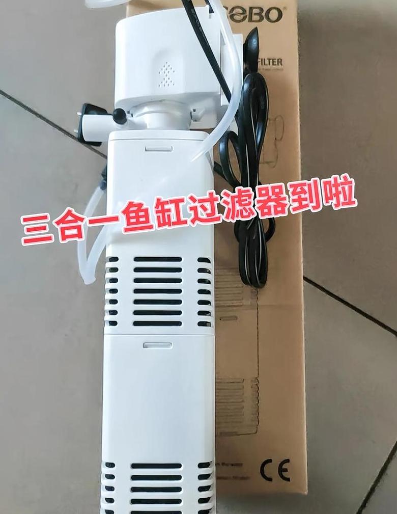 免换水鱼缸原理揭秘：水质稳定与定期换水的重要性