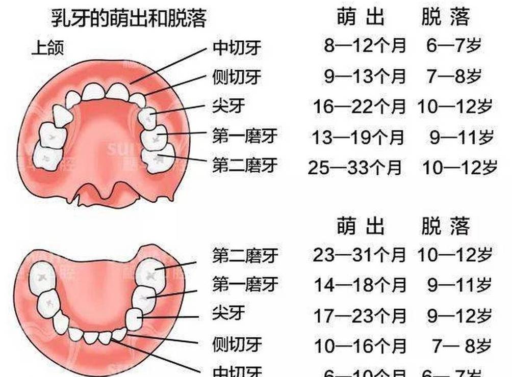 13齿齿轮线速度计算与万能分度头分度技巧解析