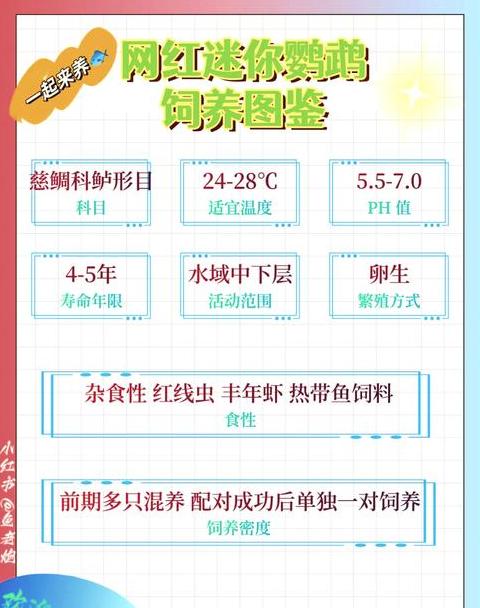 夏季鱼缸降温攻略：实用方法让你鱼儿安心度夏