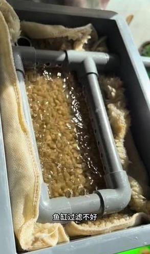 鱼缸过滤材料全解析：内置过滤器优劣与滤材选择