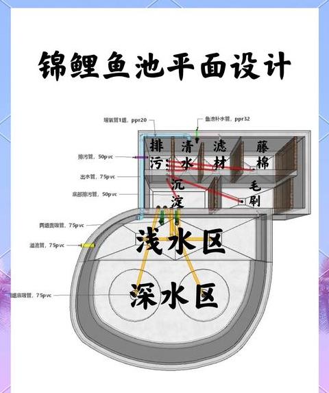 鱼池循环水系统搭建与维护技巧