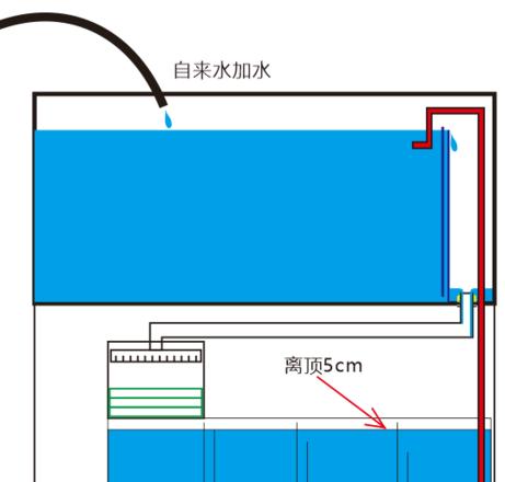 鱼缸底滤粪便处理及过滤方法全解析