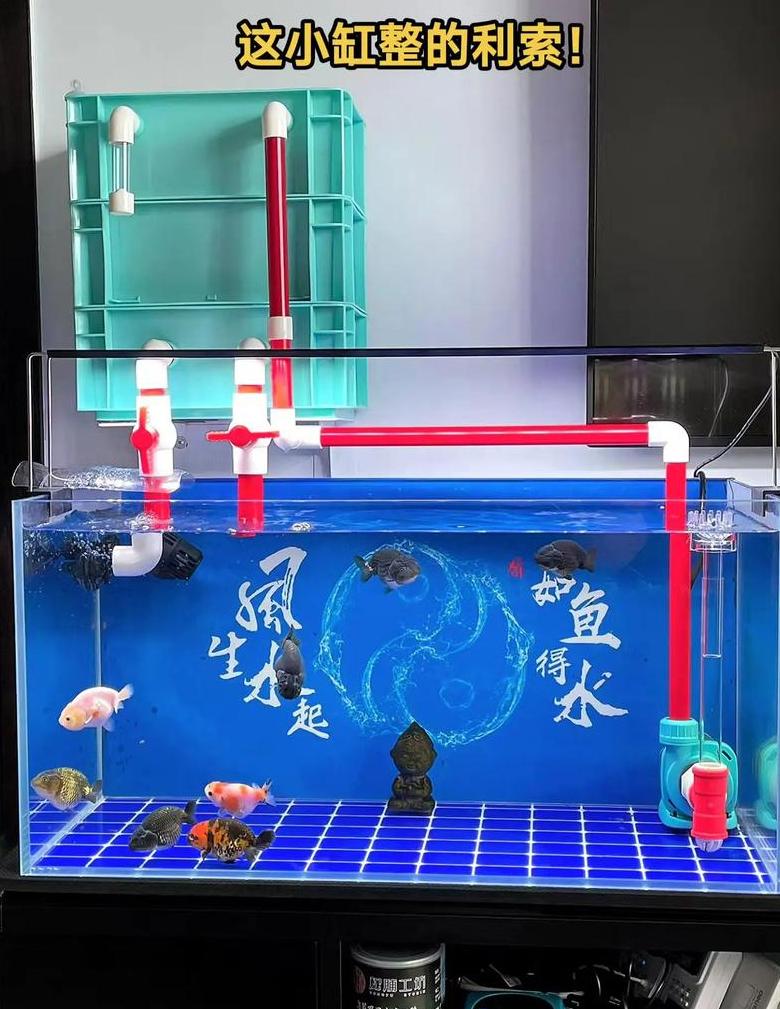 鱼缸过滤器功能解析及增氧效果揭秘