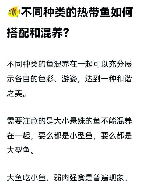 小型热带鱼科学喂食指南