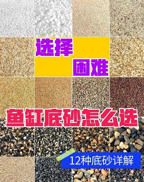 鱼缸底砂清洗周期指南