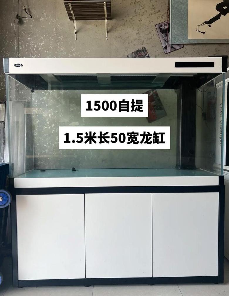 鱼缸容积计算与维护技巧全解析