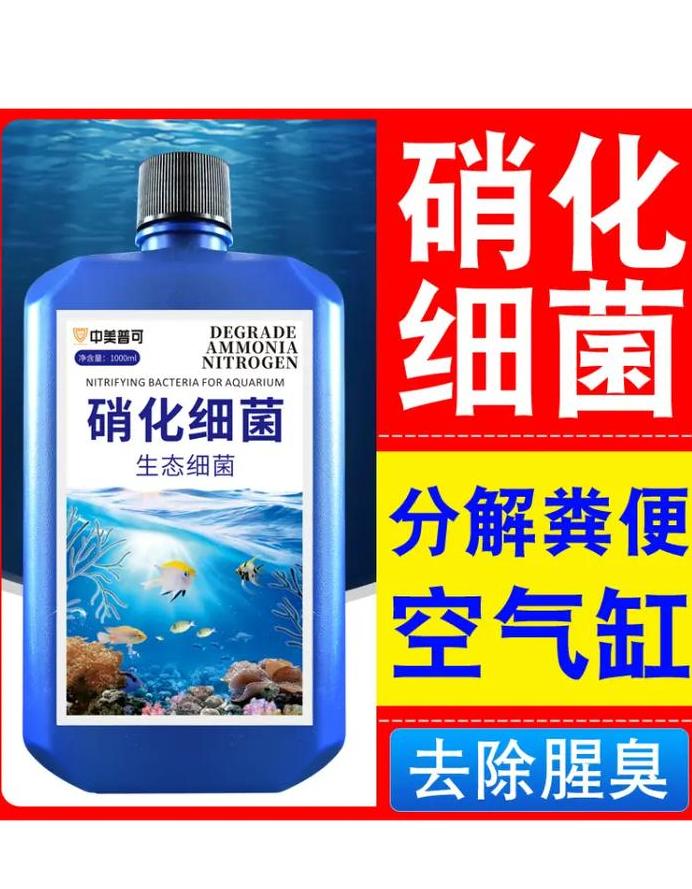 鱼缸硝化细菌添加频率及作用解析