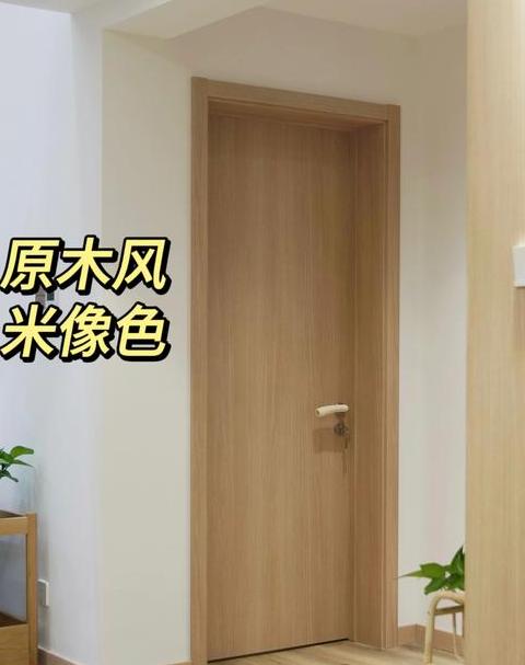 木门2.3米效果