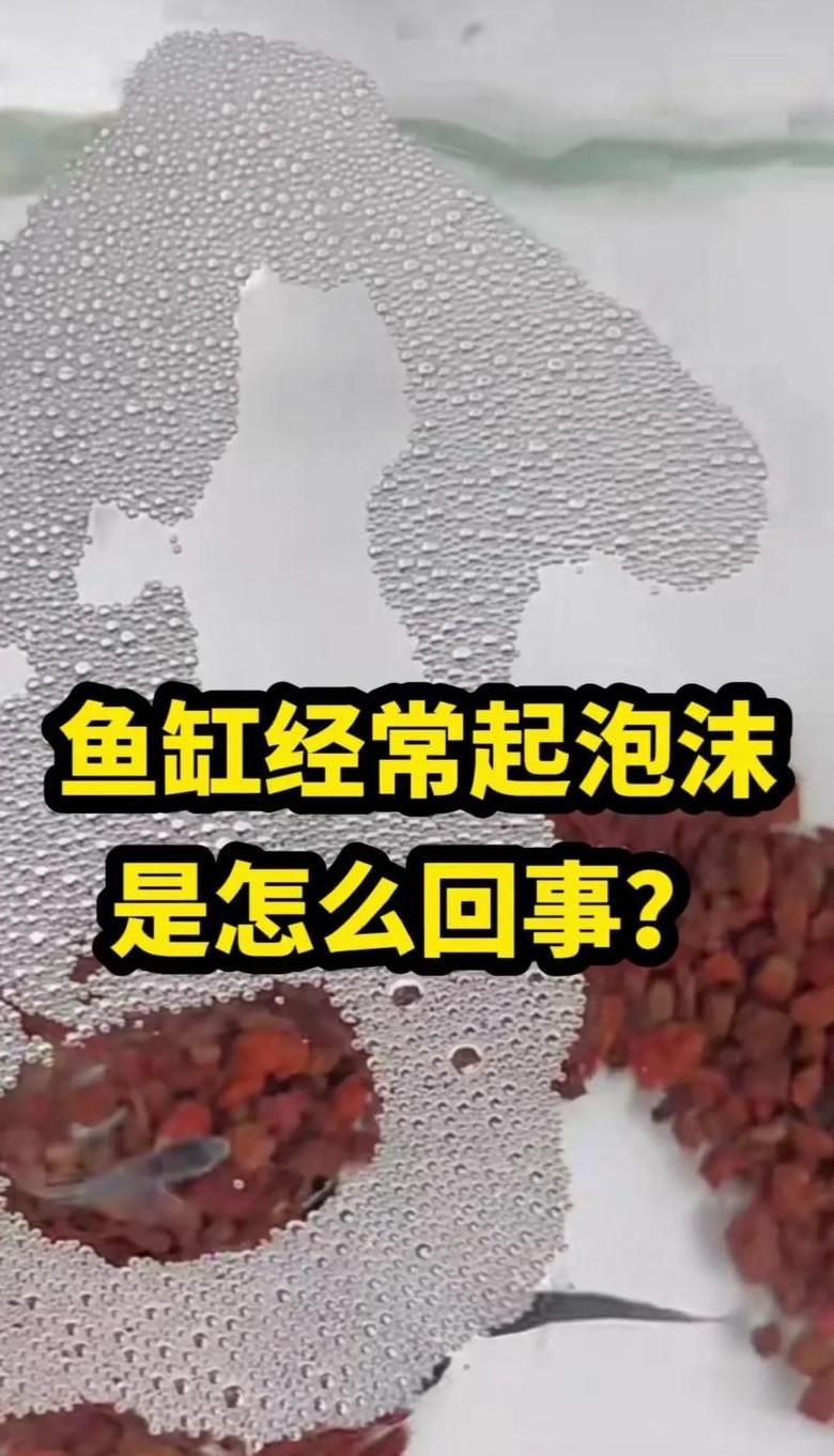 鱼缸氧气泵不冒泡原因及解决指南