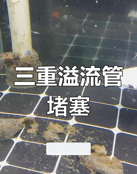 鱼缸底滤粪便清理难题及解决方案