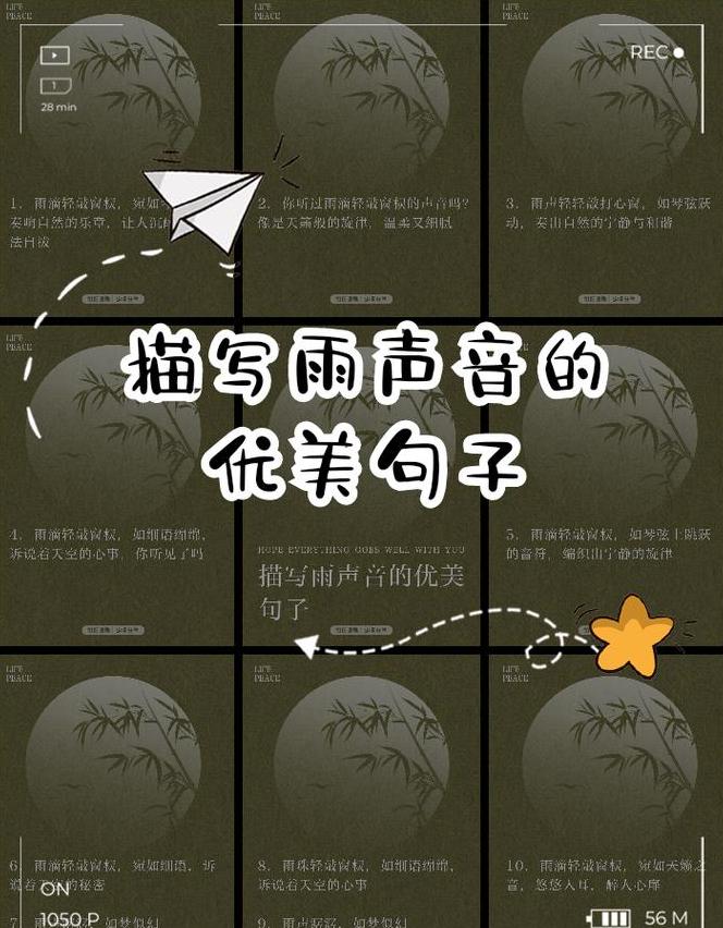 小雨滴奏响自然音符：解析雨声之美