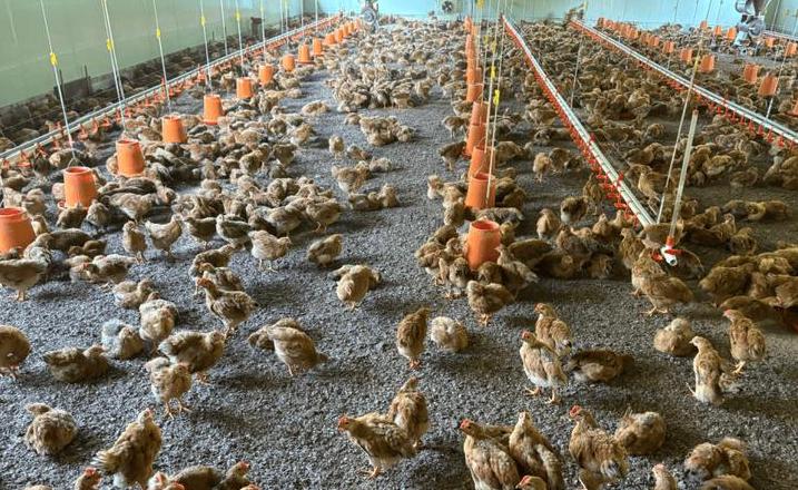 广西卖酒村：自然风光与特色产业共融发展