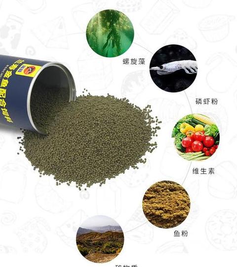 金鱼饲料成分揭秘：自制营养配方全解析