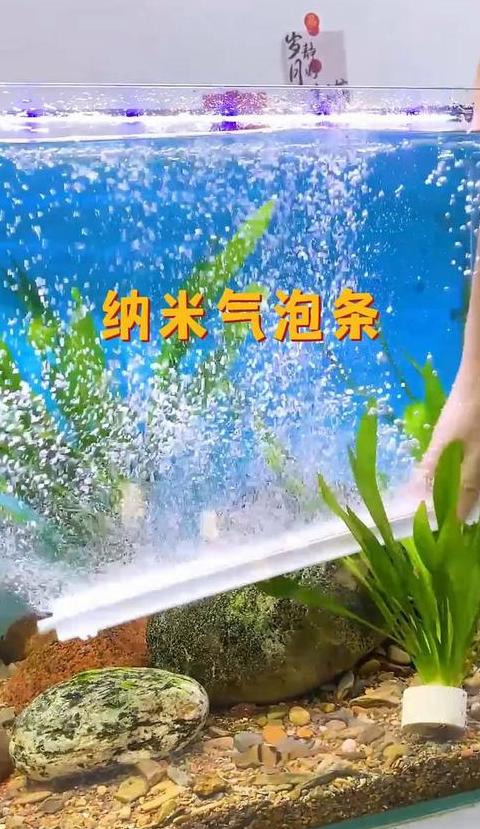 鱼缸泵不出氧原因及选购指南