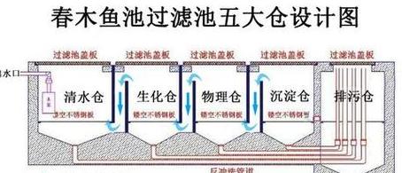 鱼池循环水过滤系统使用指南：夜间关闭还是持续运行？