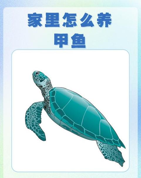栖息的读音和意思解析