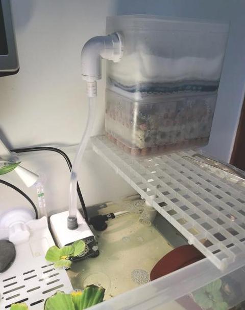 鱼缸过滤桶与滴流盒对比及过滤方法解析