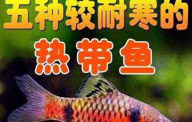伊春秋季必游小众美景盘点