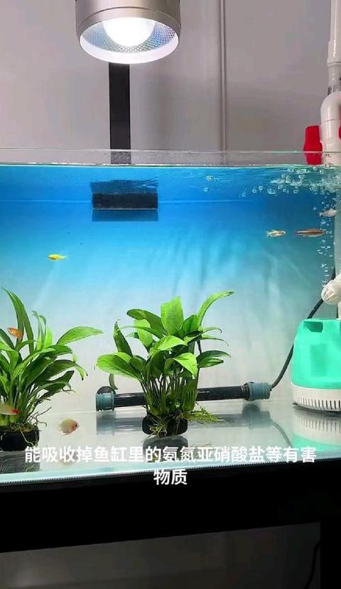 属马人2023年不宜踏足之地揭秘
