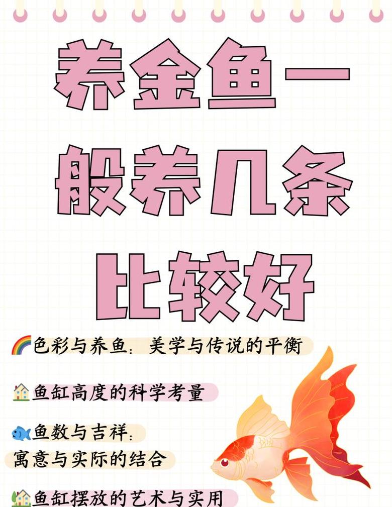 60升鱼缸锦鲤最佳养殖数量