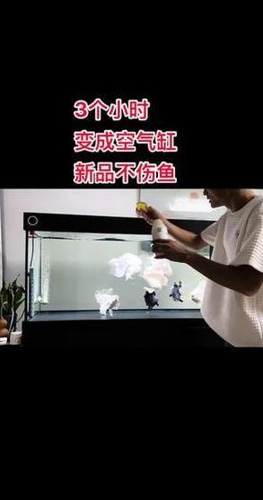 鱼缸净水剂使用指南及注意事项
