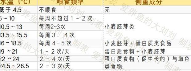 小金鱼喂食指南：喂多少鱼食最合适？