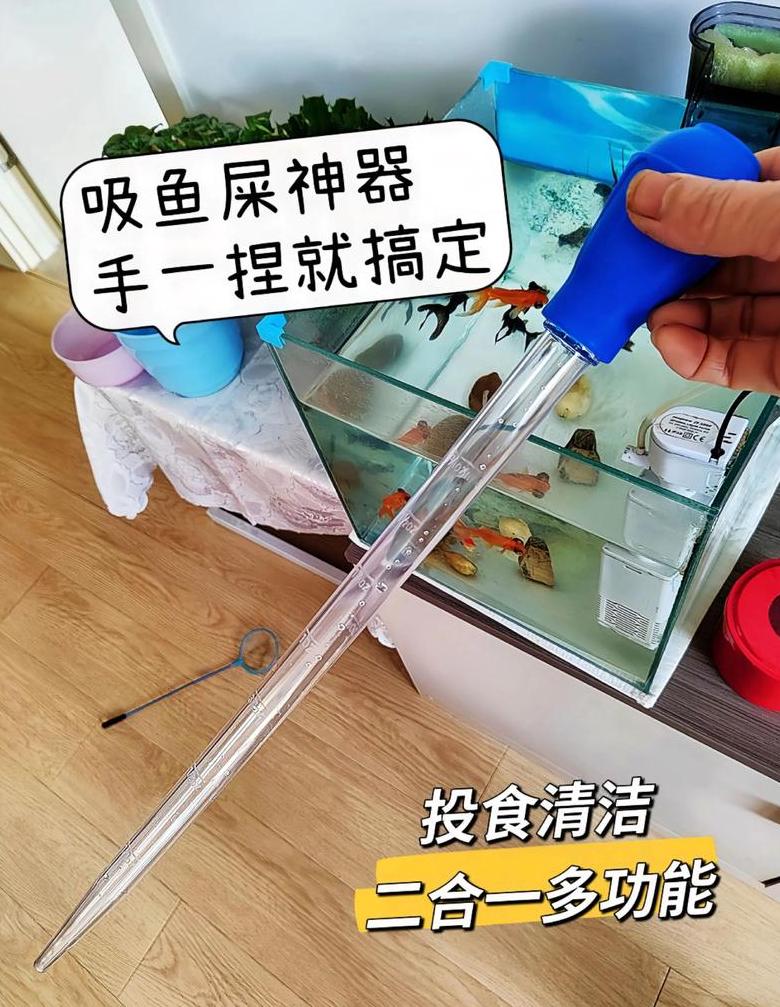 造景鱼缸鱼粪清理方法大揭秘！