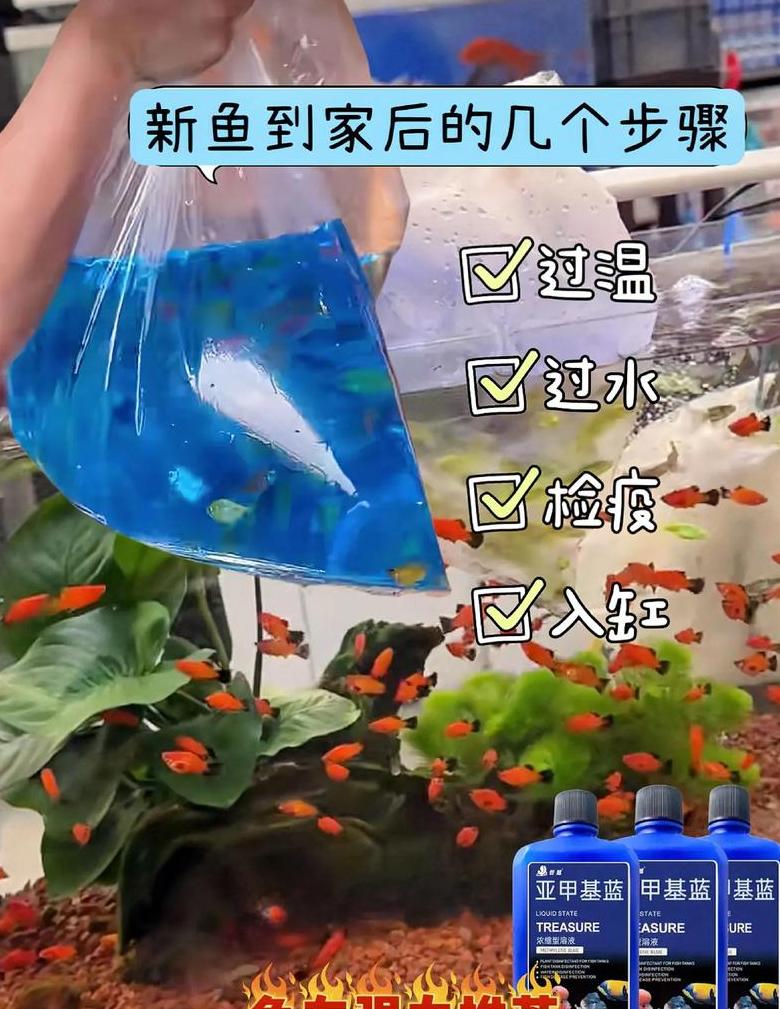 鱼缸甲基蓝使用指南及影响解析