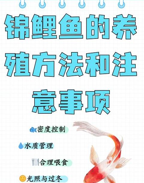 鱼缸养鱼技巧：合理密度与硝化细菌生存之道