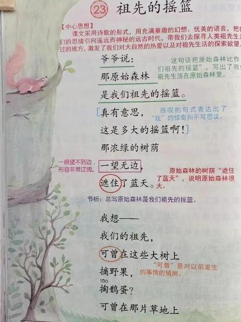 摇篮颂：自然与生命的温柔摇篮