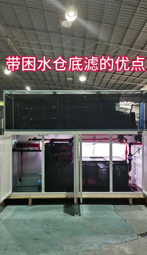 底滤鱼缸粪便处理攻略：有效解决鱼粪问题