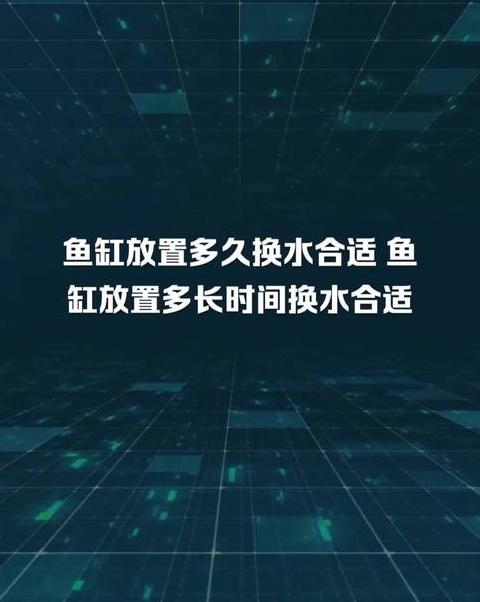 鱼缸换水频率与水质保养指南