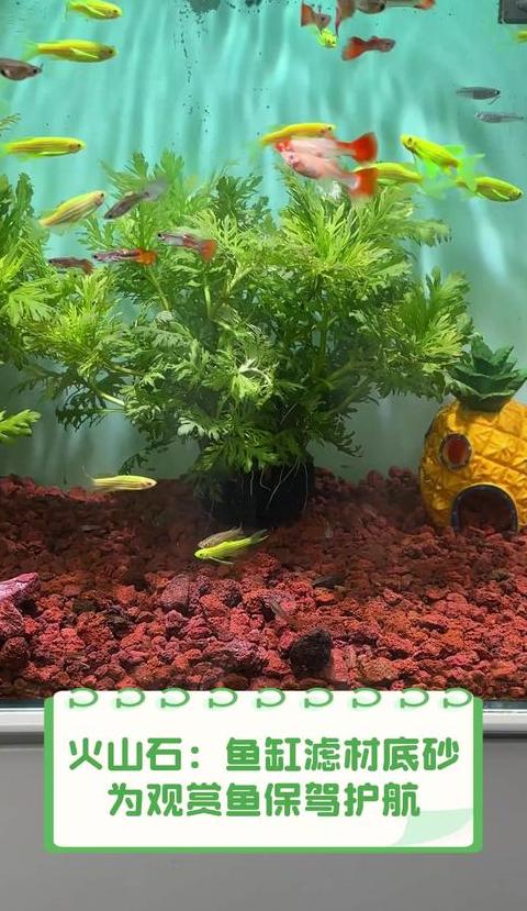 鱼缸底砂铺设技巧全解析