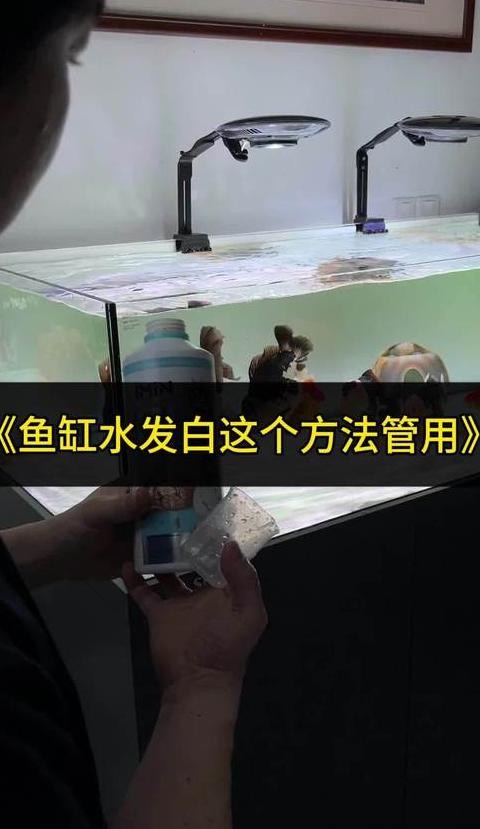 鱼缸水变白处理攻略