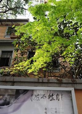 四字成语中的字符重叠现象探究