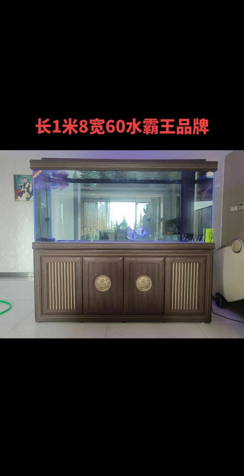 1.5米鱼缸养鱼指南：数量与搭配建议