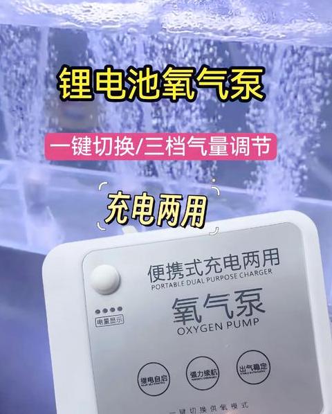 锦鲤氧气泵挑选指南：选购与安装技巧解析
