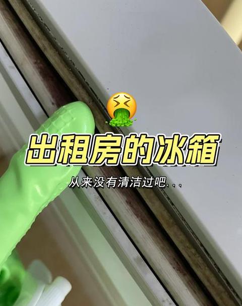 冰箱门封条发霉清洗攻略：实用方法大集合