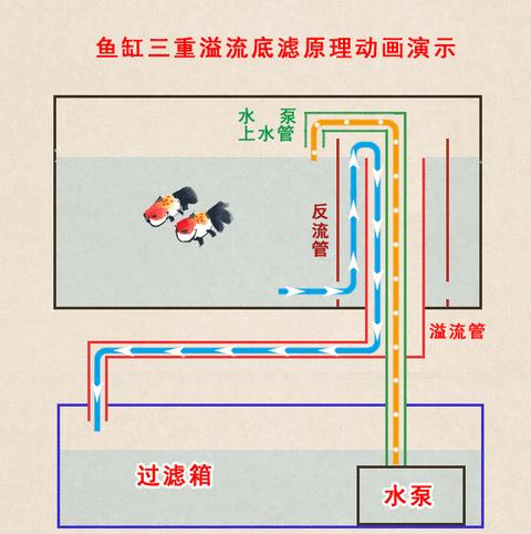 鱼缸底部过滤器原理及安装技巧