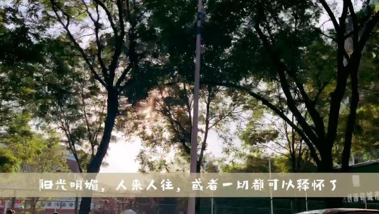 一方小城，一方情：解码小镇生肖文化之美