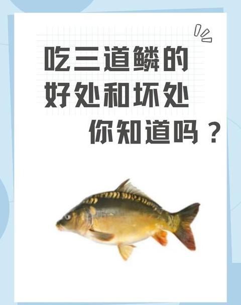 红烧三道鳞：家常美味做法分享