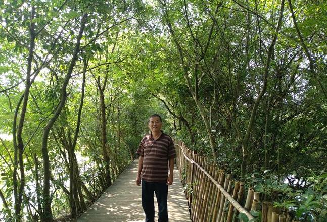 绿色词汇解析：绿洲、绿荫与绿茵的区别