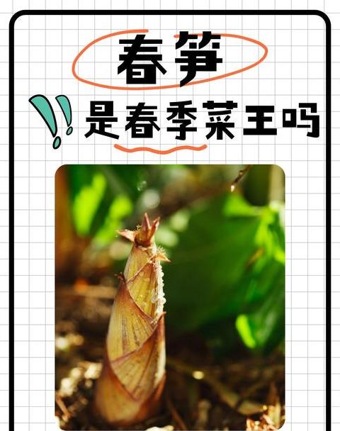 春意盎然四字短语大揭秘