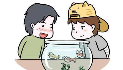 女性生活指南：10个关键忠告助你优雅前行
