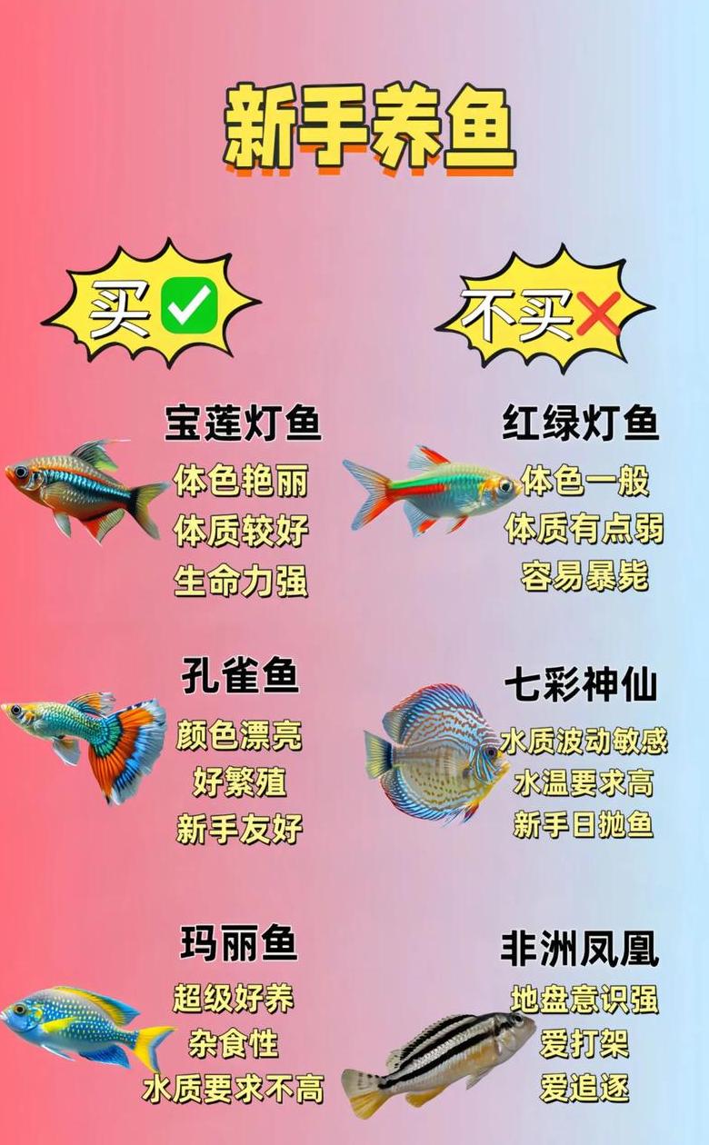 破除养鱼奇数迷思：揭秘鱼类数量选择真相